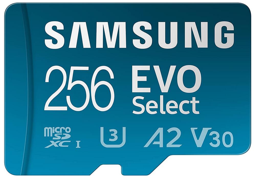 Scheda microSD Samsung EVO Select